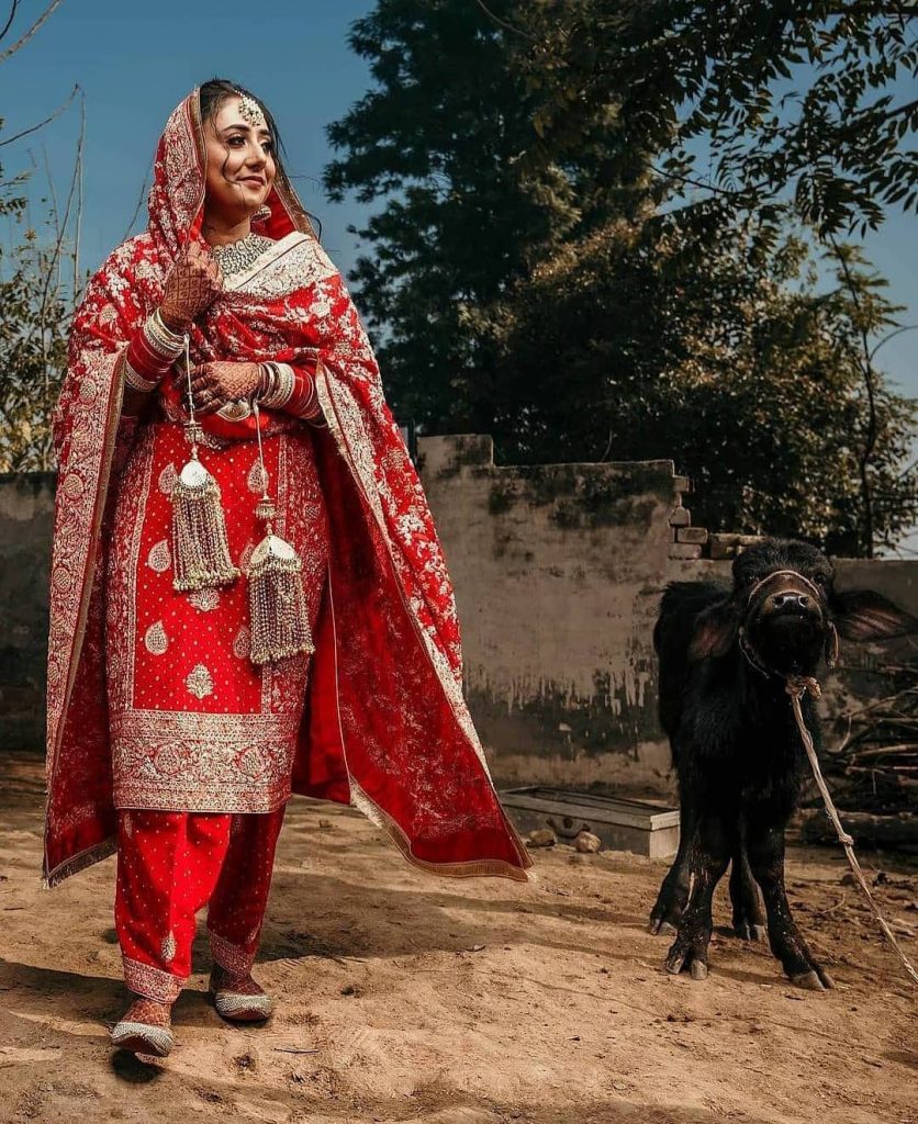 Beautiful Punjabi bridal